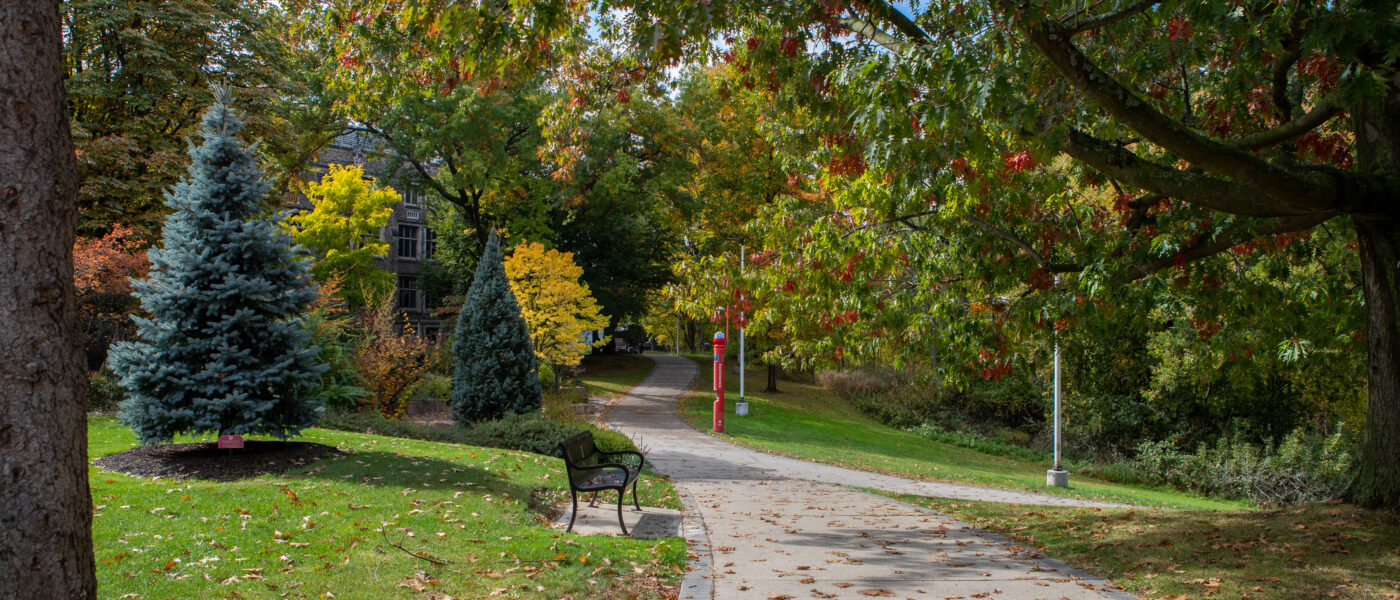 Campus Fall walkway